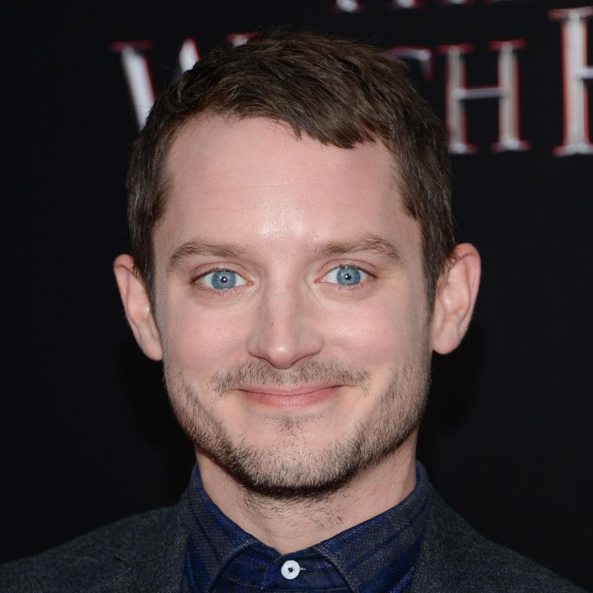Elijah Wood Wiki Bio Age Net Worth And Other Facts Fa - vrogue.co