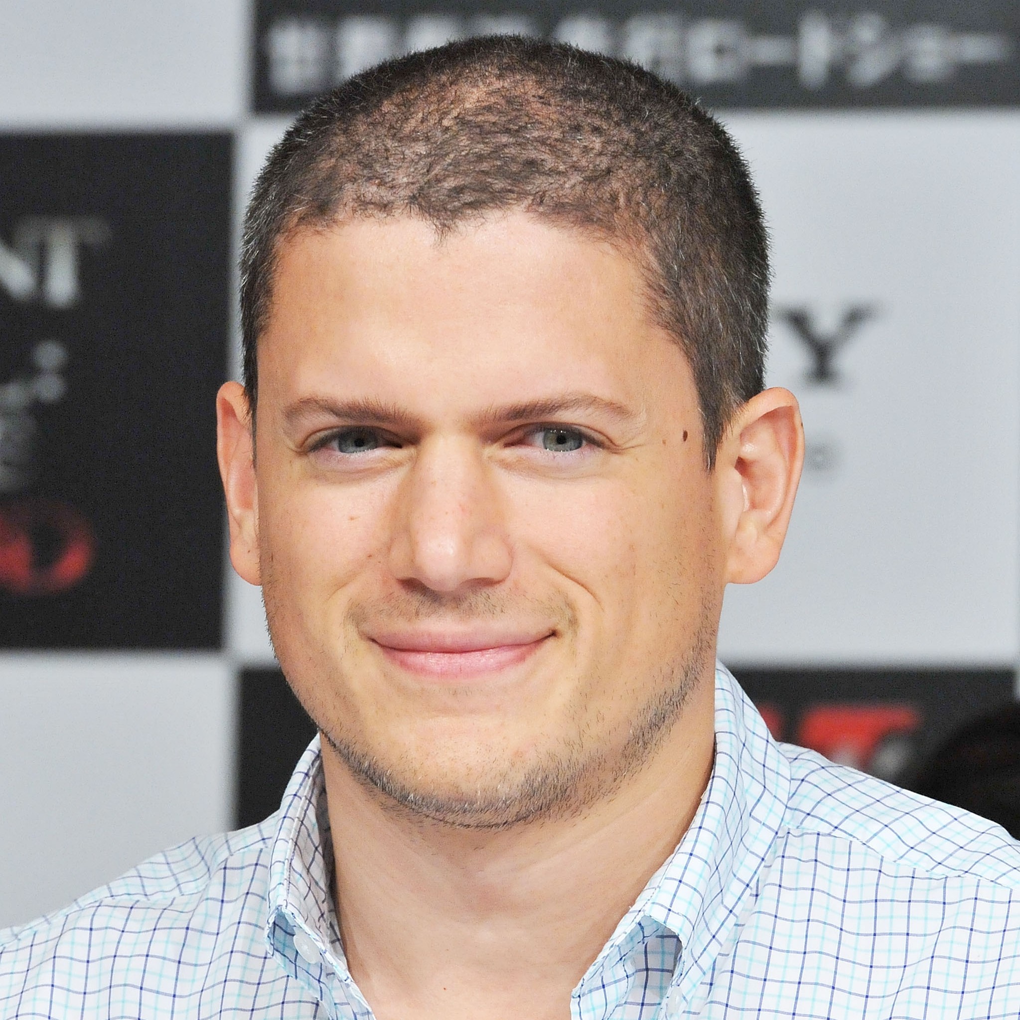 Wentworth Miller Actors Are Idiots